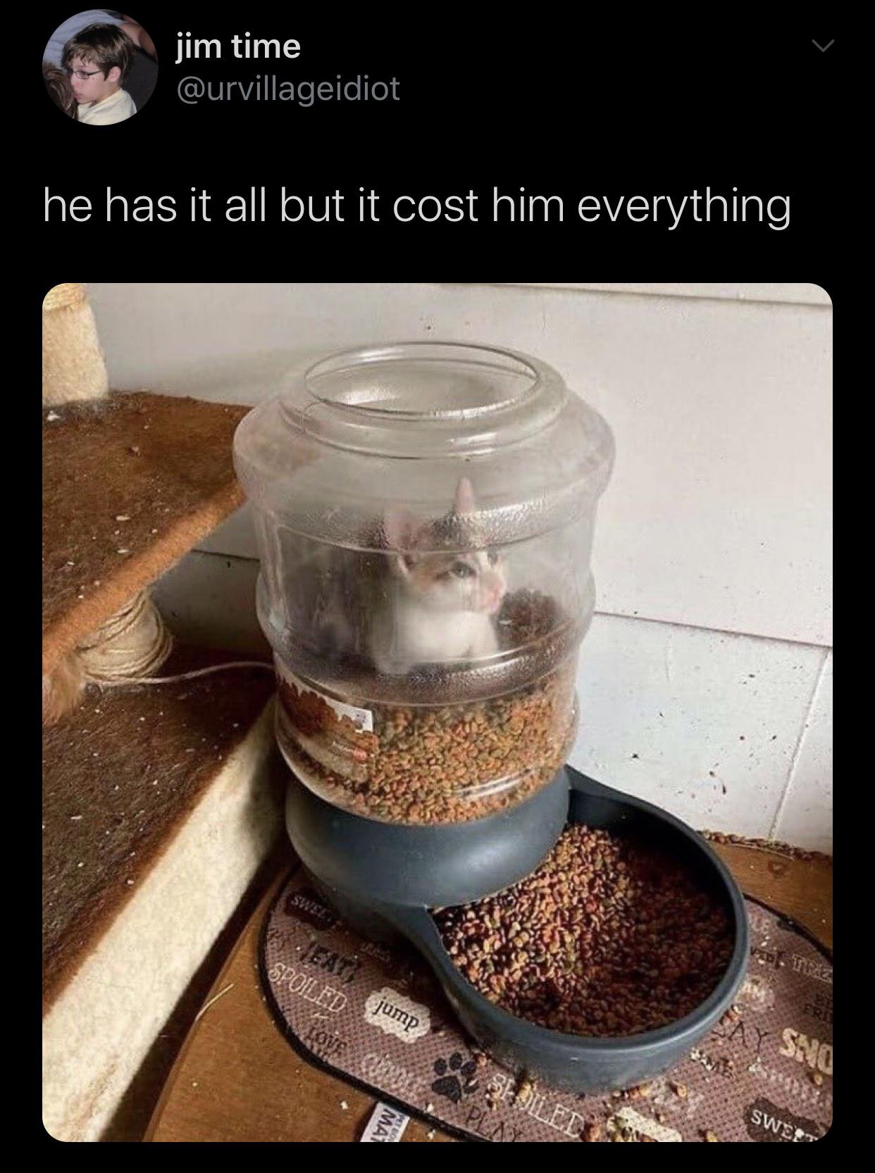 That+is+quite+the+analogy%2C+bud.