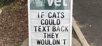 If+cats+could+text
