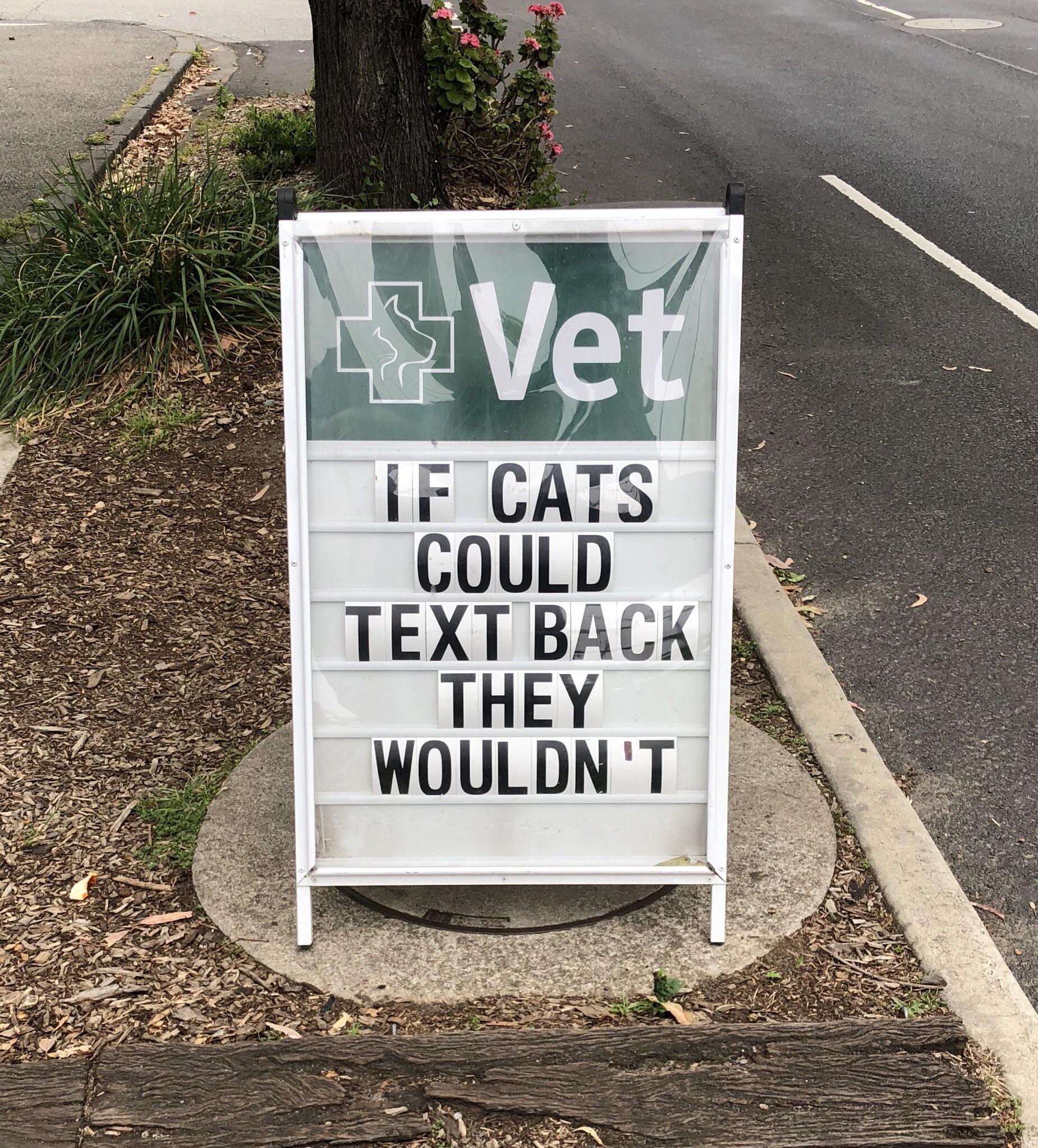If+cats+could+text