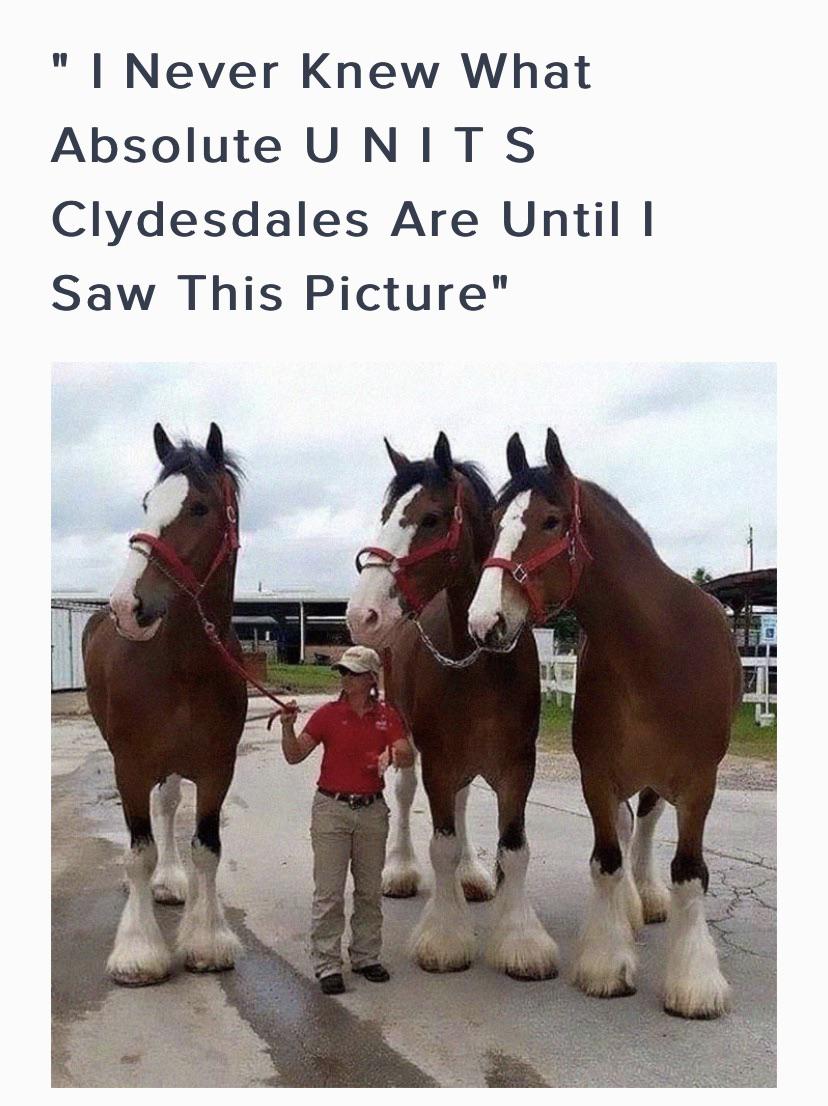 Adult+human+for+scale%26%238230%3B