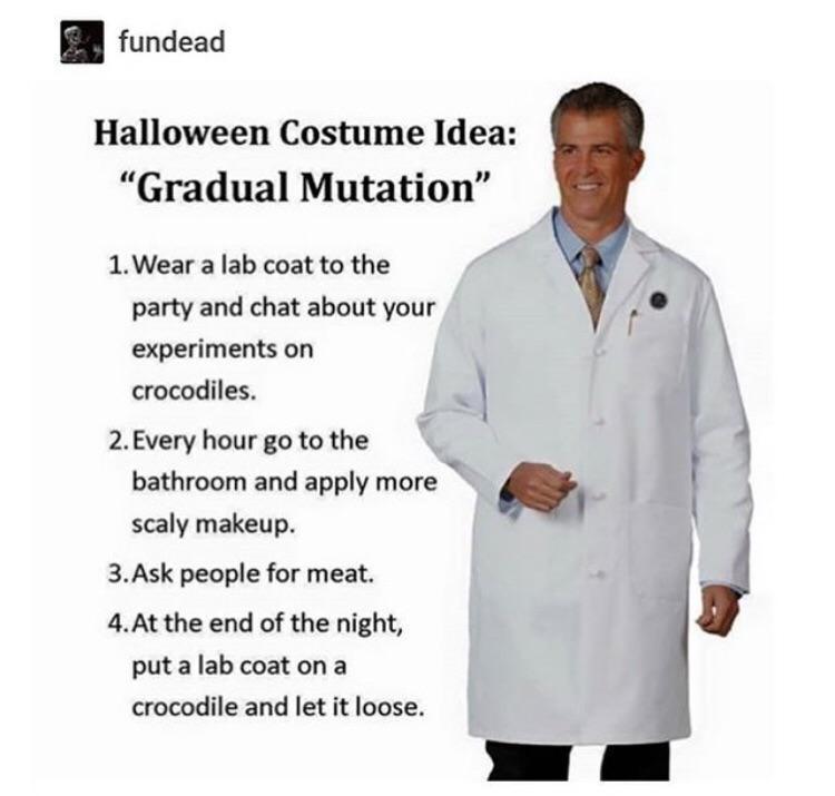 Do+you+like+to+party%3F