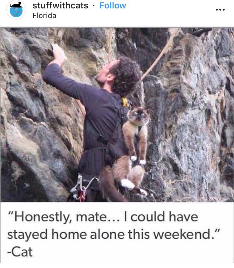 A+real+cliffhanger%26%238230%3B