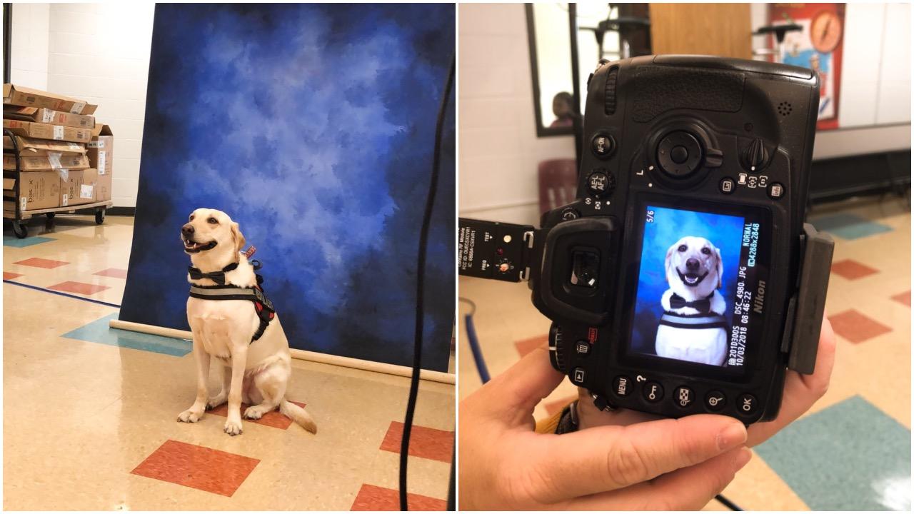 Service+dog+at+a+high+school+got+his+picture+taken+for+the+yearbook