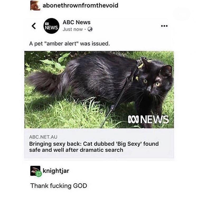 Can+we+actually+have+an+animal+amber+alert%2C+though%3F