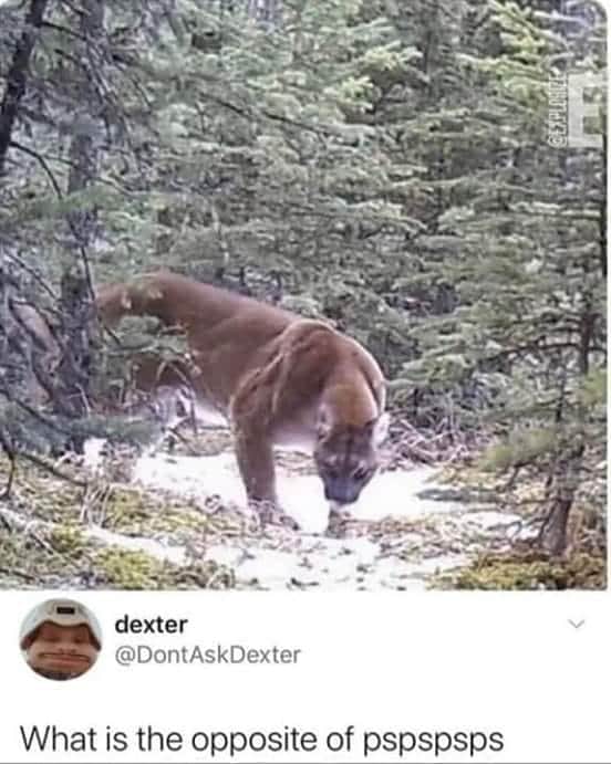 Pls+no%2C+kit%26%238230%3B