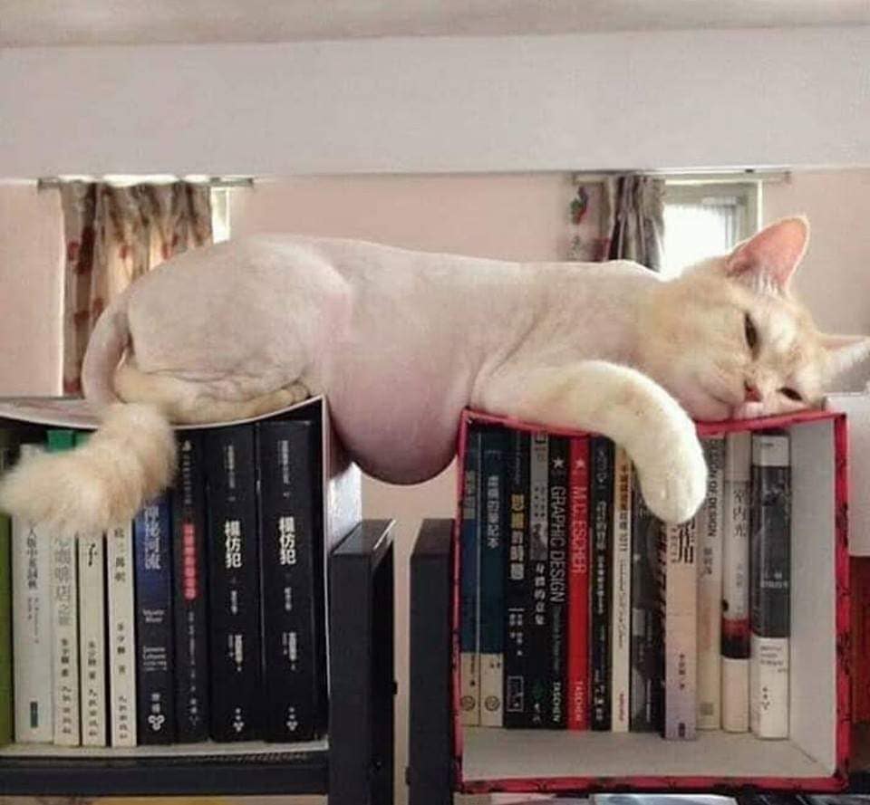 Just+a+little+tubby%26%238230%3B