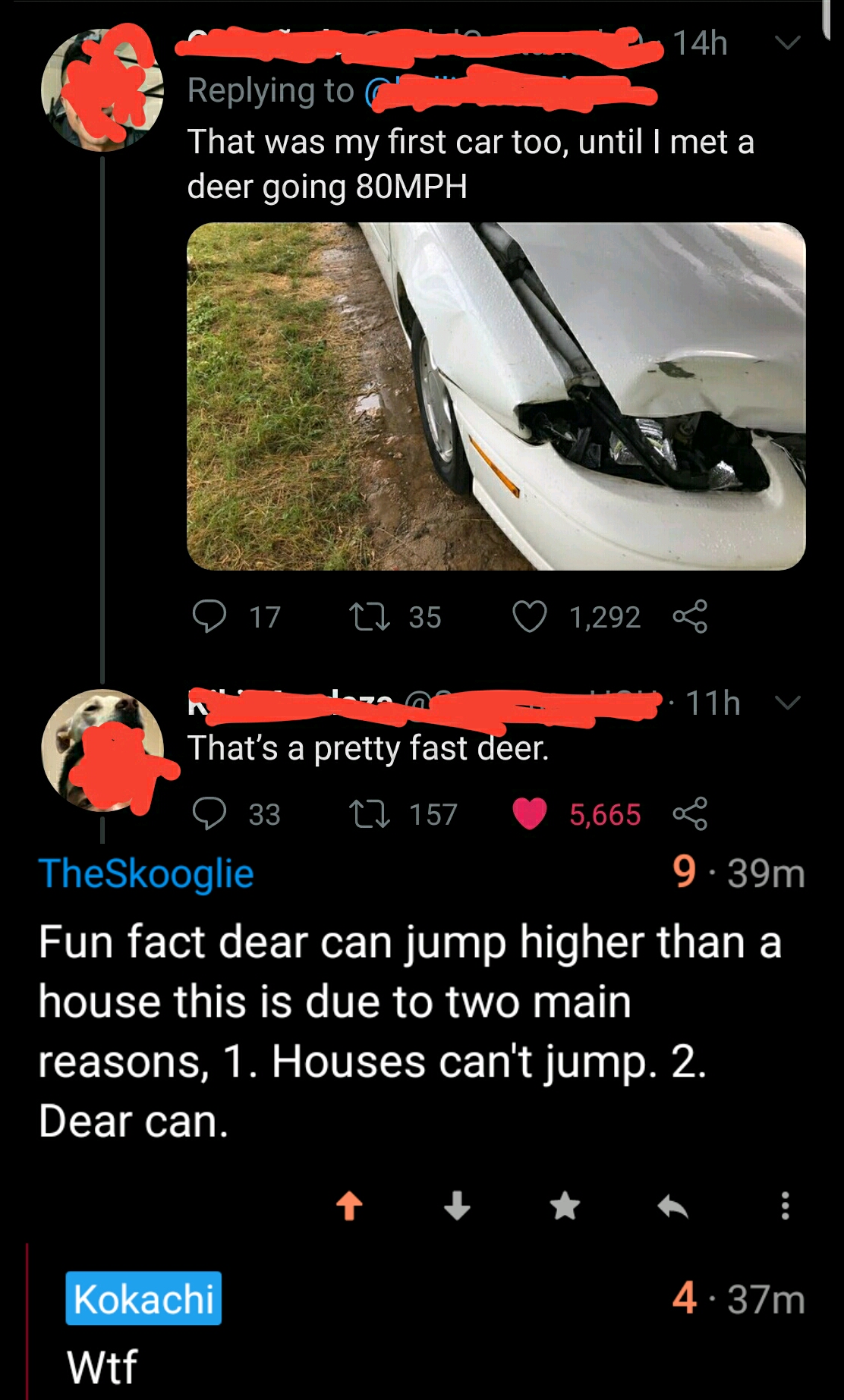 A+well+timed+dear+fact.