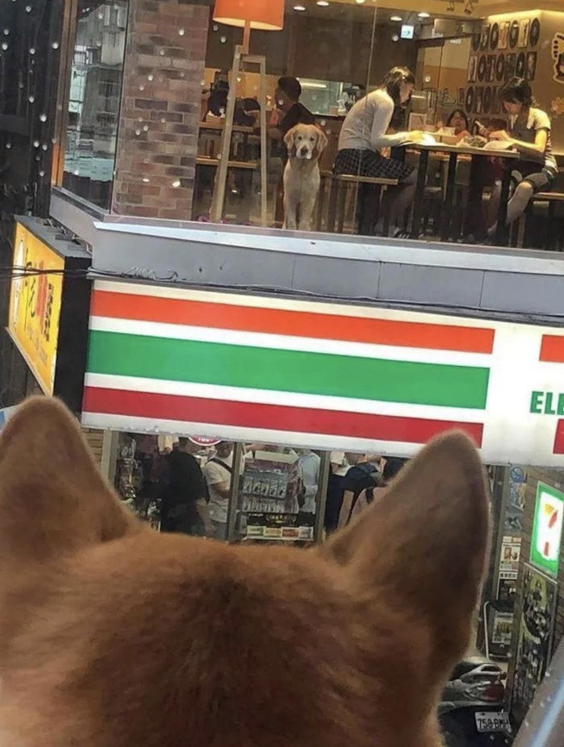 Long+distance+relationships%26%238230%3B