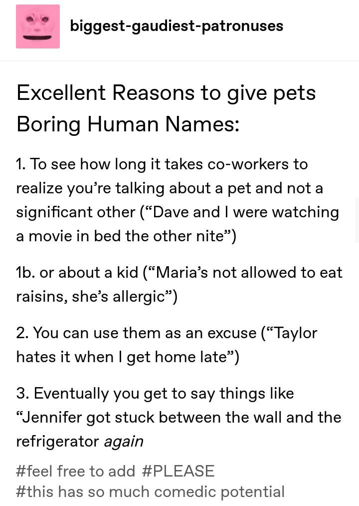 Come+on%2C+Maria%26%238230%3B