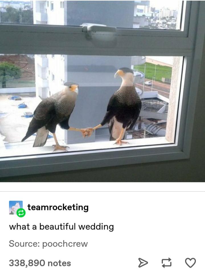 They+just+bought+a+tractor+together%26%238230%3B