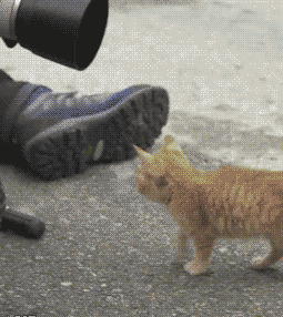 The+view+is+so+much+better+from+over+here