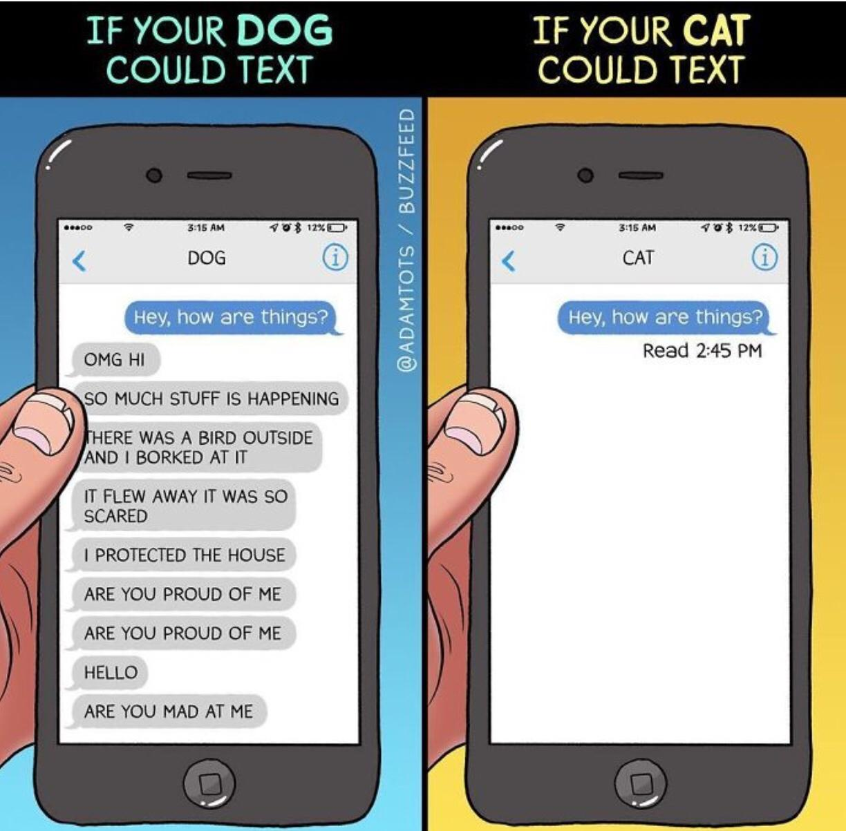 Dogs+whom+text+back.