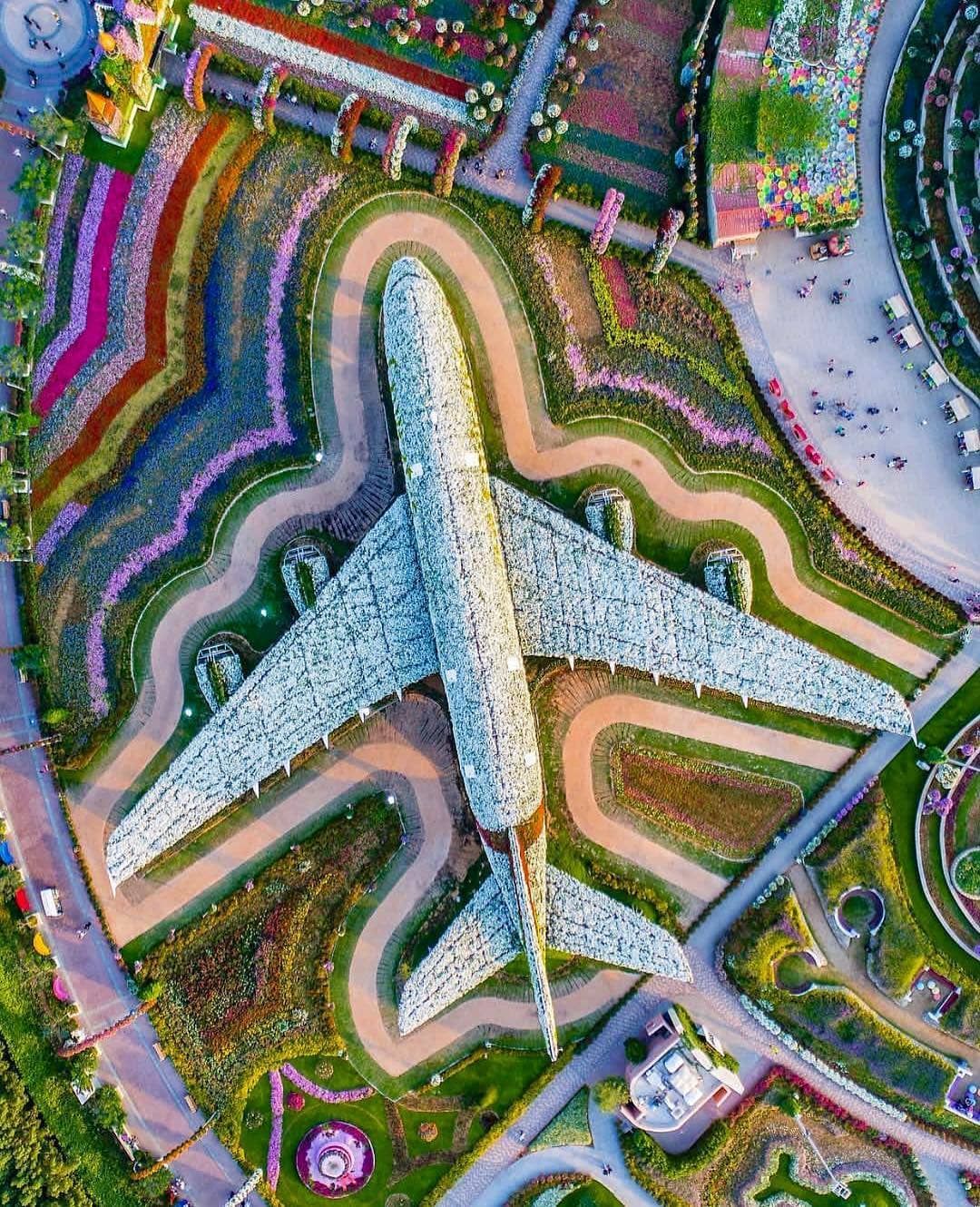 The+Emirates+A380+Blossoms+at+Dubai+Miracle+Garden