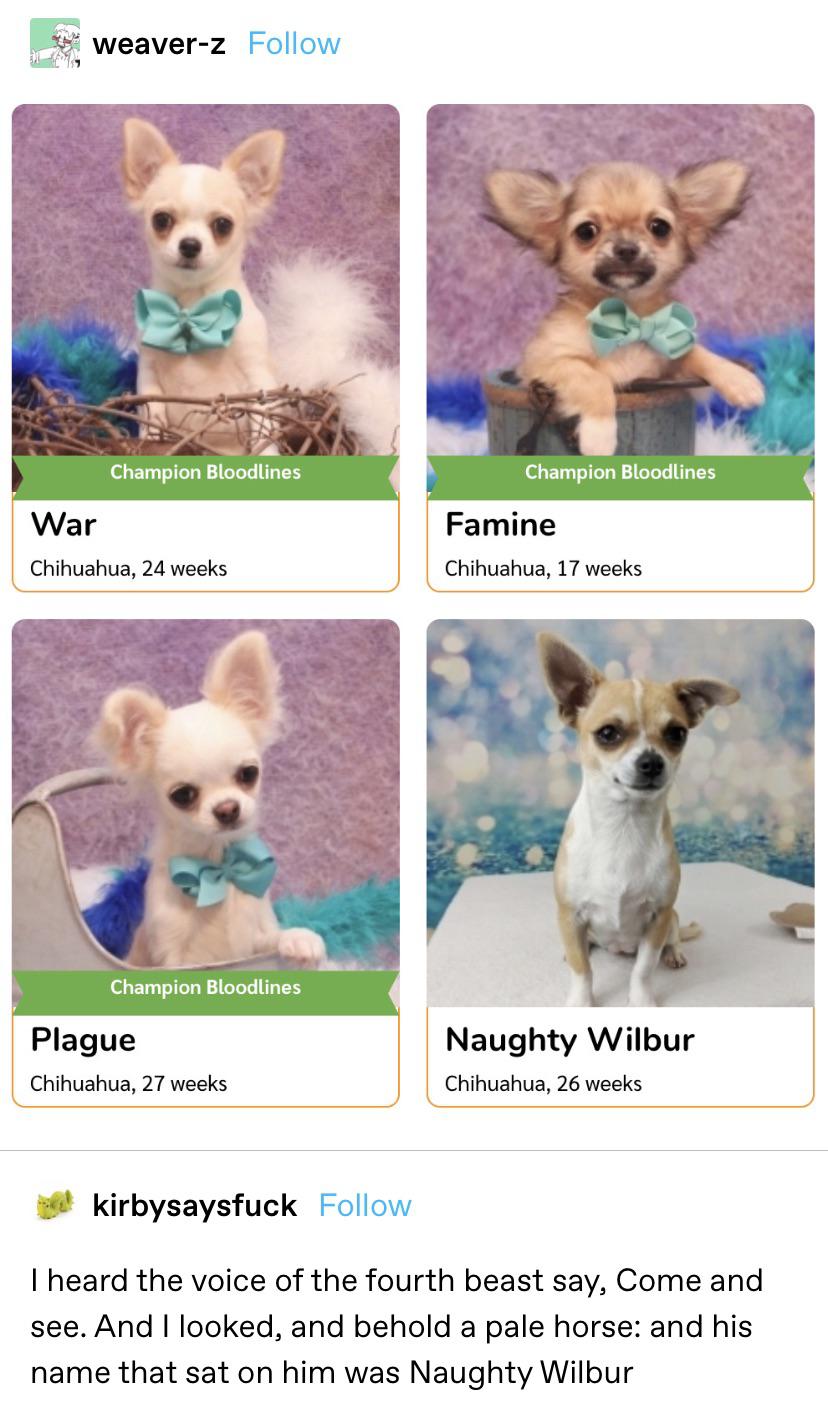 False+alarm%26%238230%3B