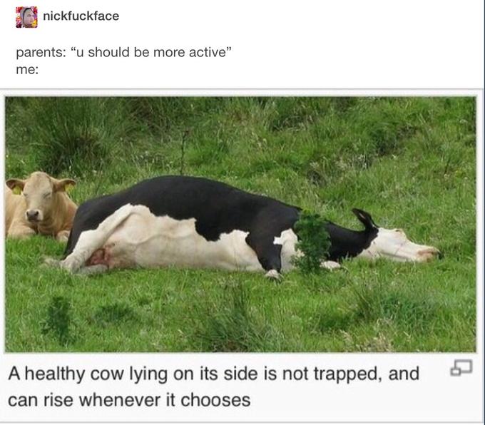 I%26%238217%3Bll+move+when+movement+is+warranted%2C+mom.