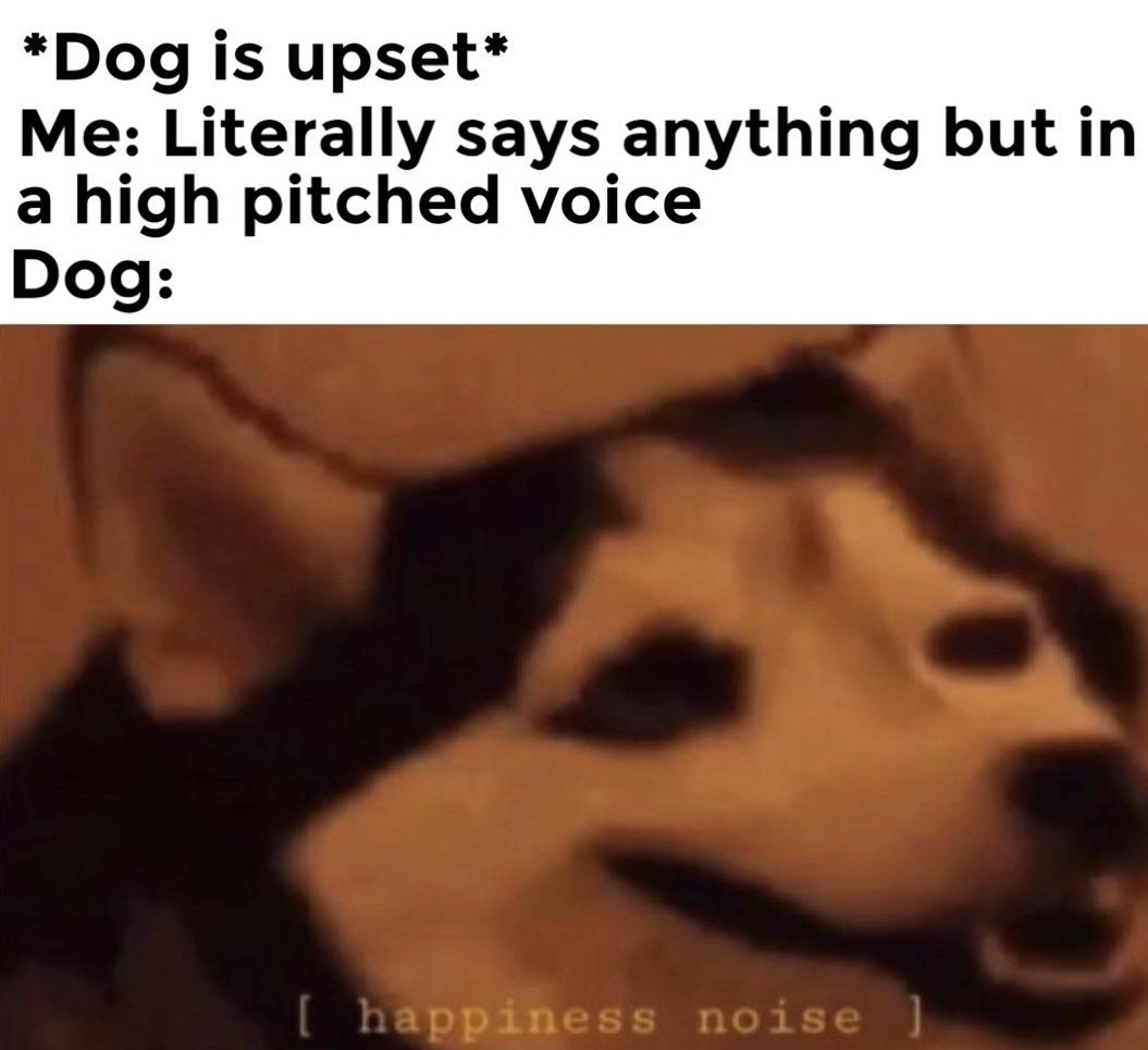 If+only+we+could+be+as+happy+as+dogs