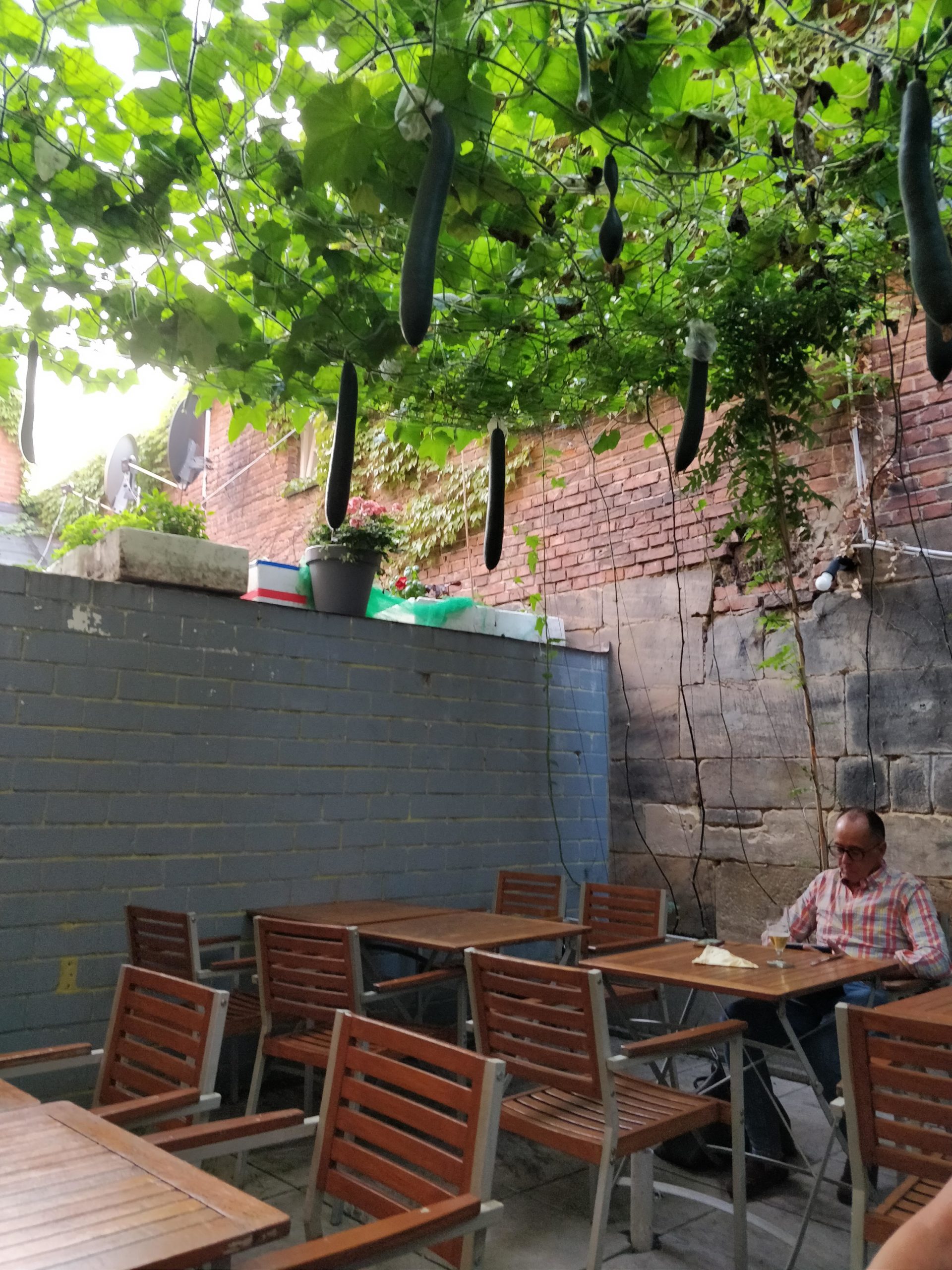 Zucchini%26%238217%3Bs+from+heaven%26%238230%3B