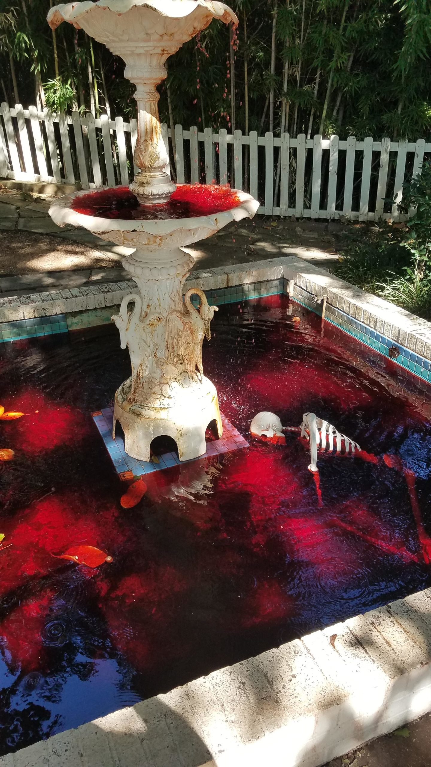 Super+spooky+fountain+wins.