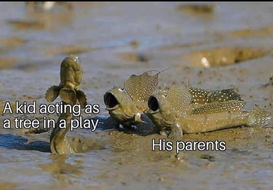 Tree+pose+is+for+the+fish%26%238230%3B