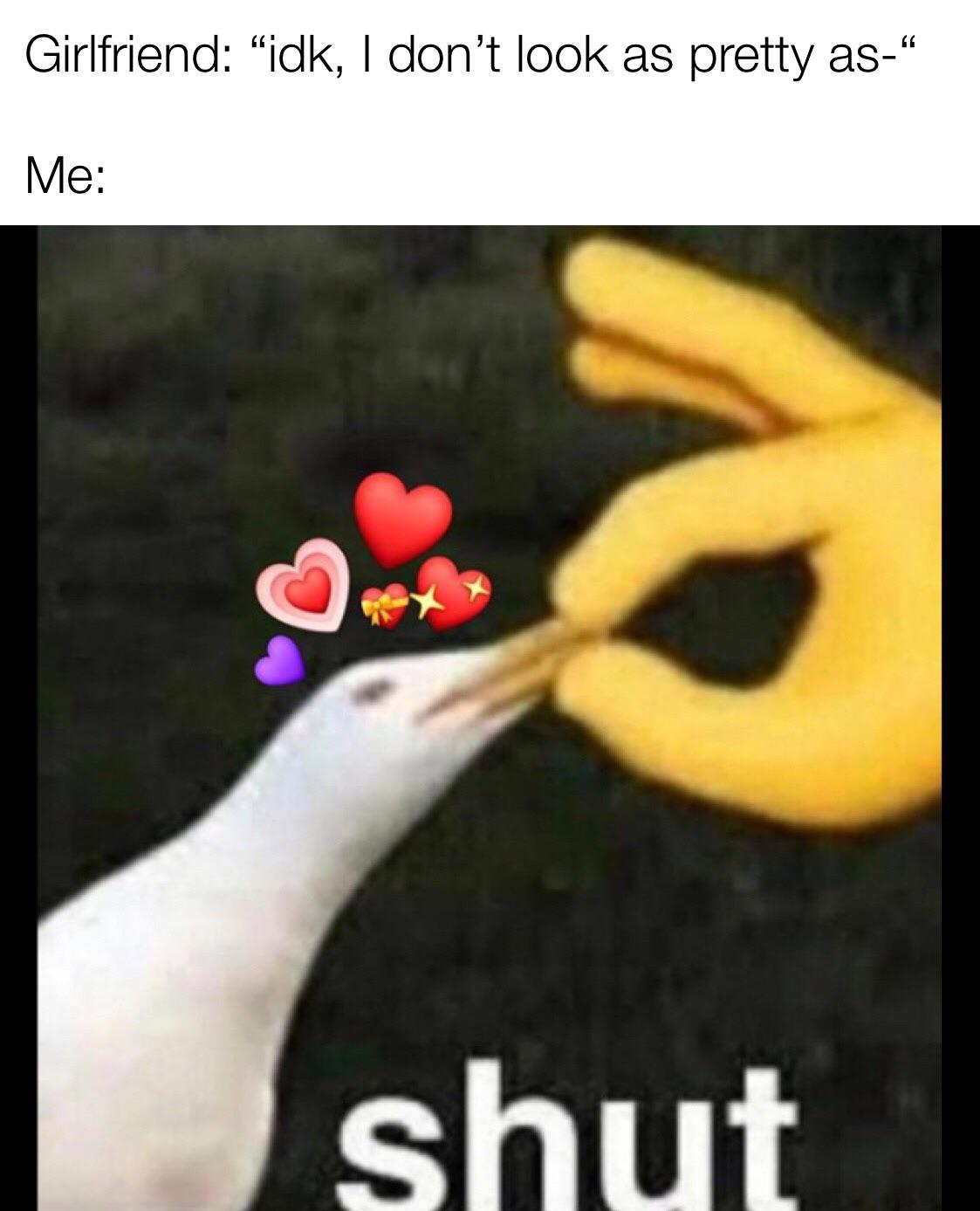 You+stop+that+right+now.