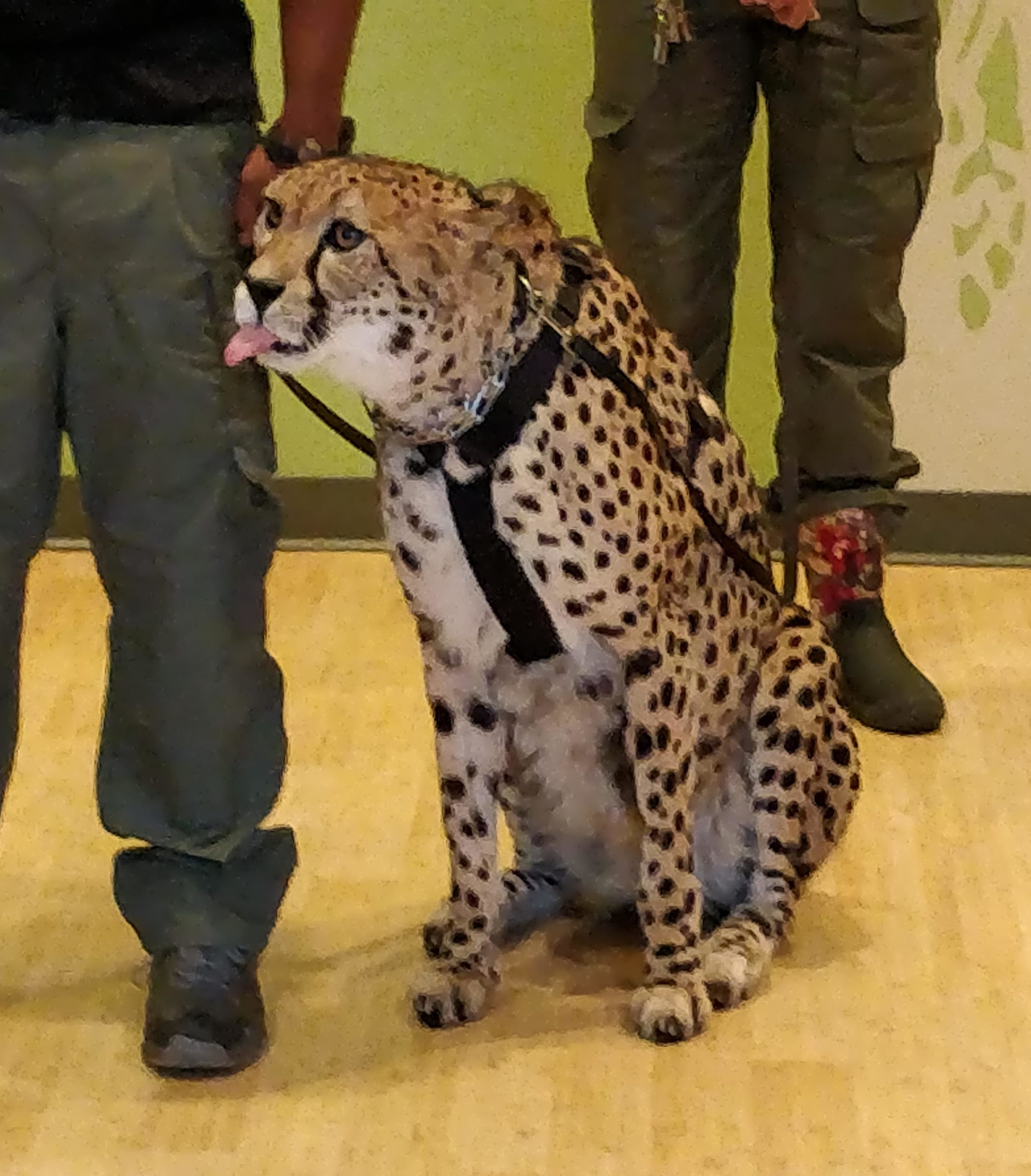 Danger+bleps%26%238230%3B