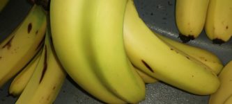 Two+bananas+one+peel