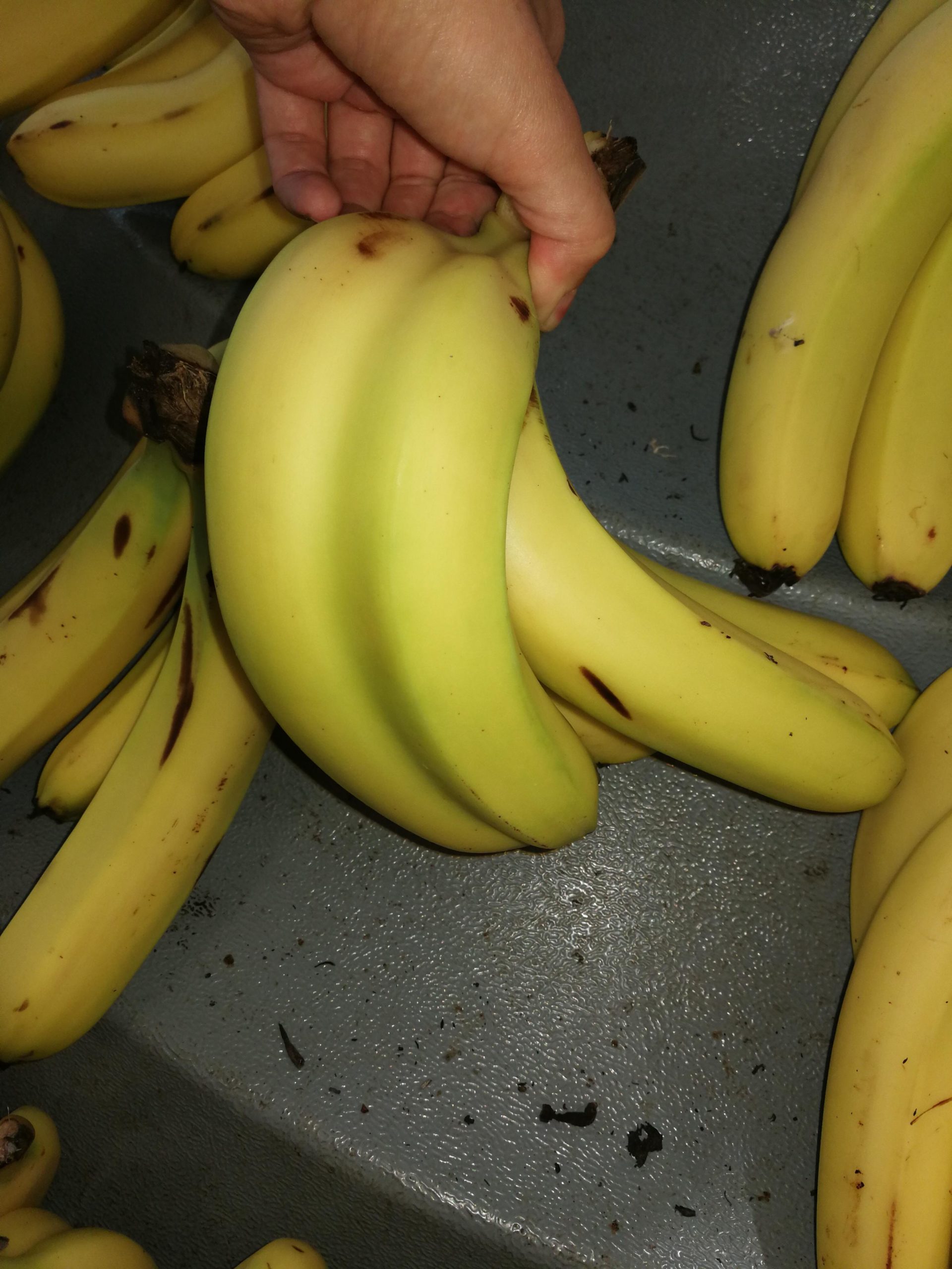 Two+bananas+one+peel