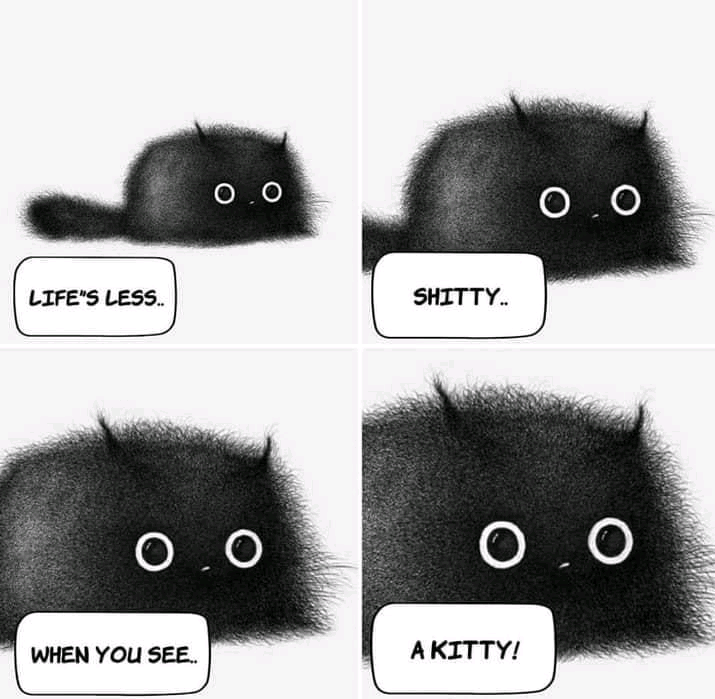 Emotional+support+kitty.