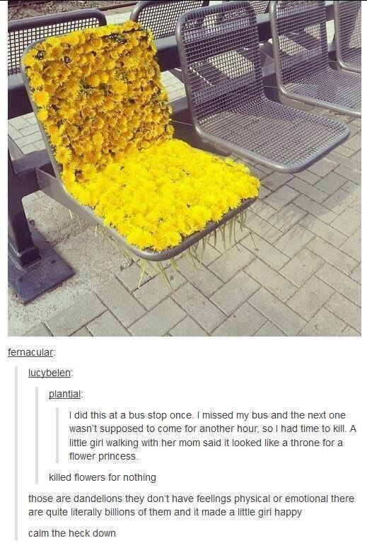 Imagine+getting+upset+over+flowers%26%238230%3B