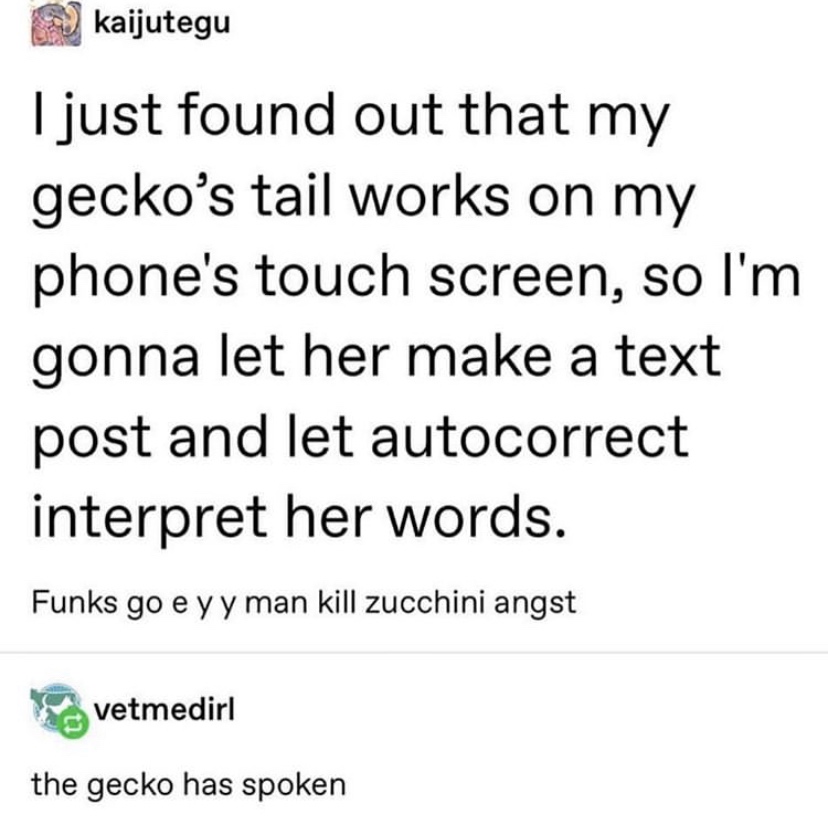 Gecko+is+life.