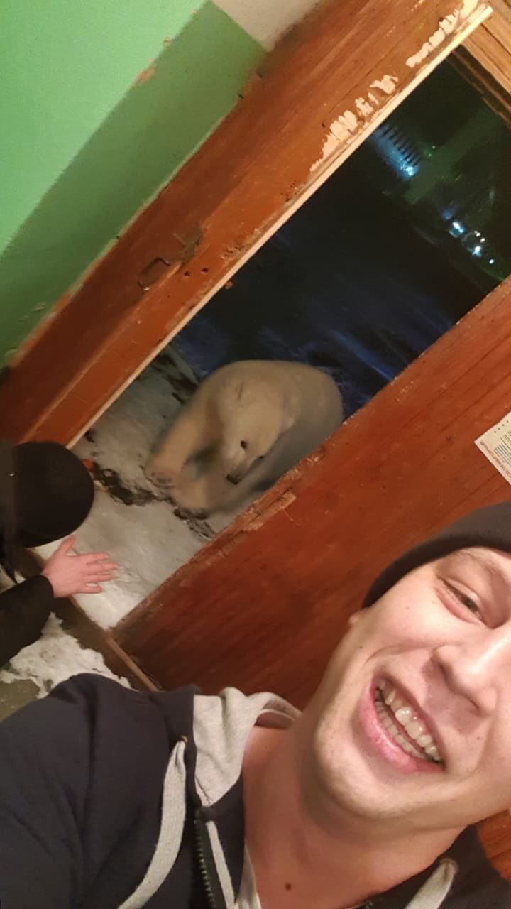 What+kind+of+dog+is+that%3F