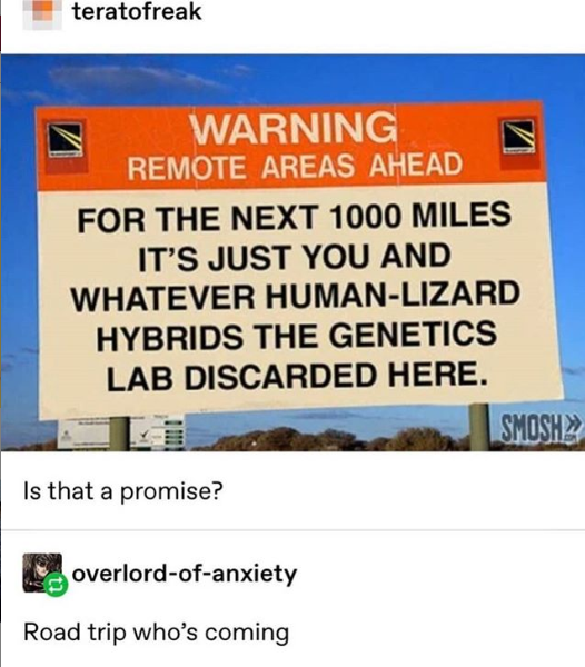 Montana+is+lit+this+time+of+year.