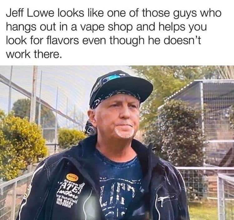 With+a+suitcase+full+of+cats%26%238230%3B