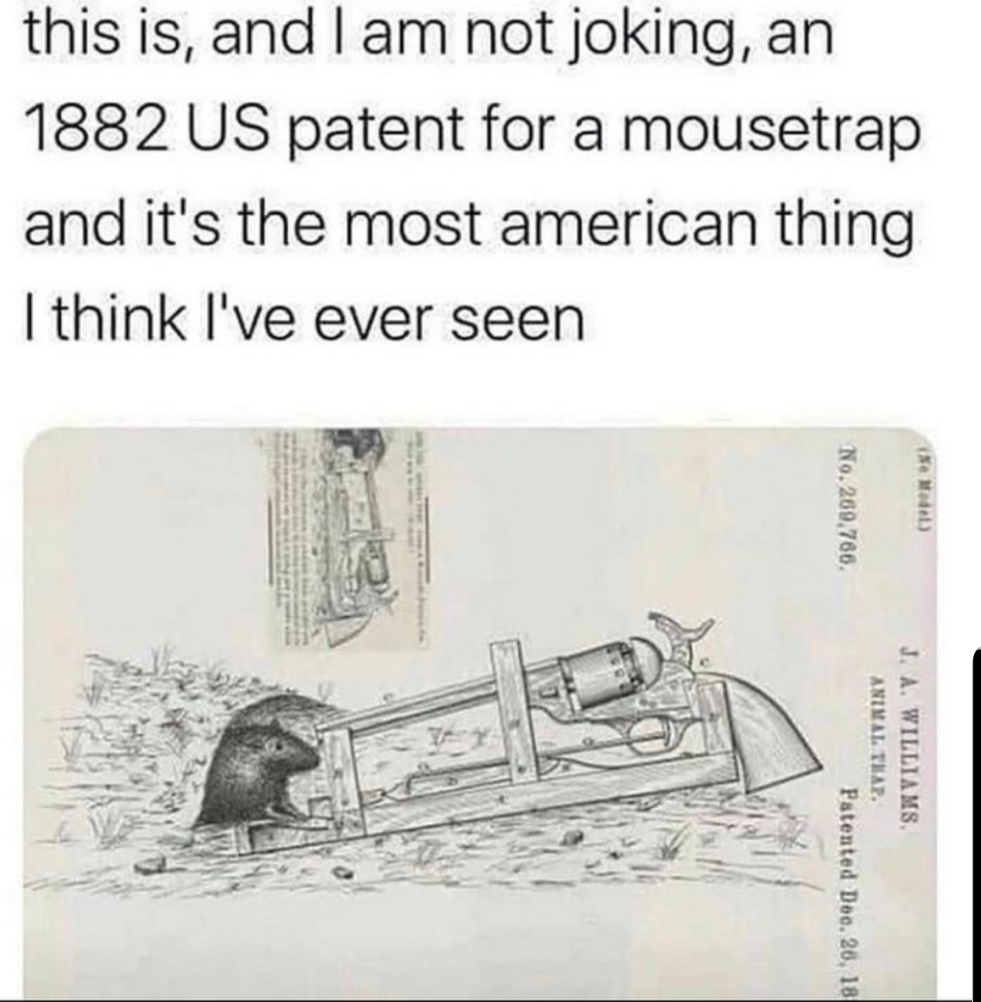 Highly+efficient+mouse+trap.