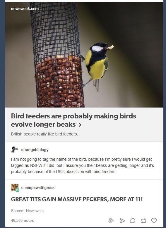 When+headlines+write+themselves