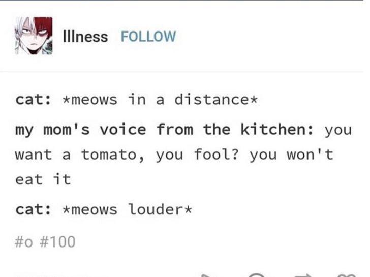 Give+us+the+tomate%21