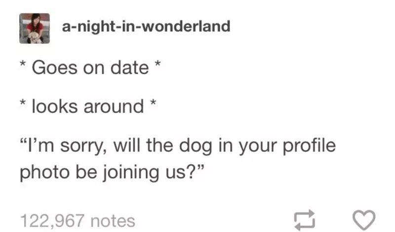 Am+I+being+dog+fished+right+meow..%3F