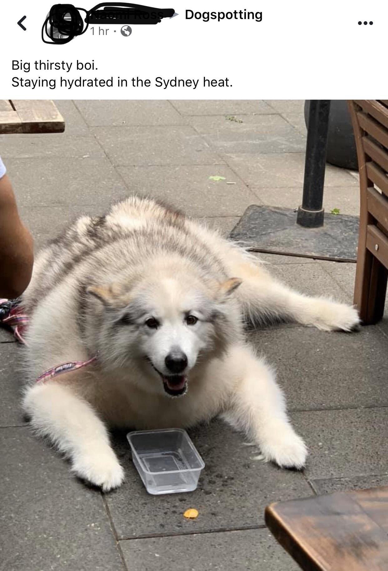 big+ole+boy+keeping+hydrated%26%238230%3B