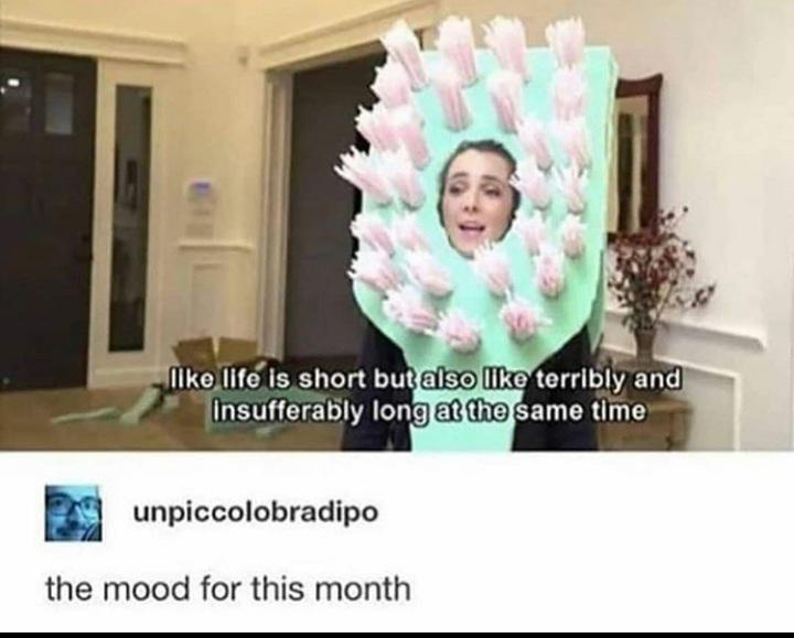 Look+ma%26%238230%3B