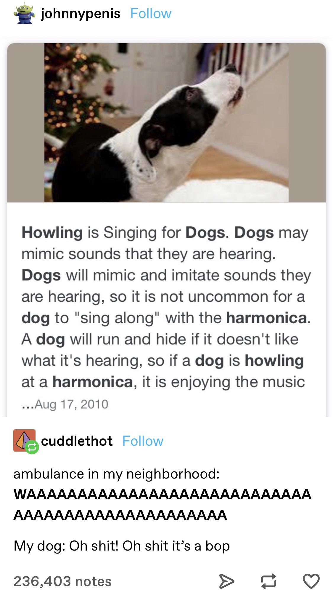 AND+HERE+WE+GOOORRRROOOOOOOOOOO