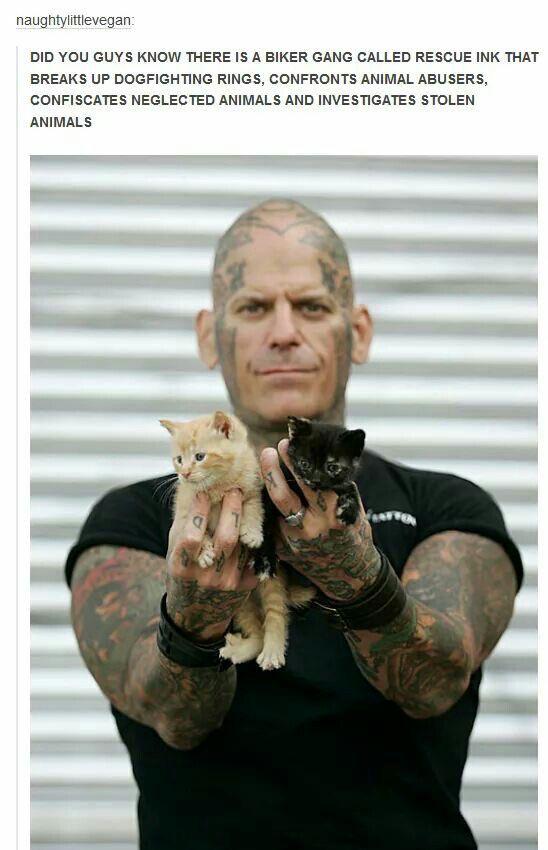 You+can+hear+them+coming.