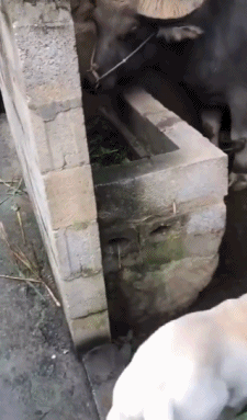 Allow+me+to+feed+you.