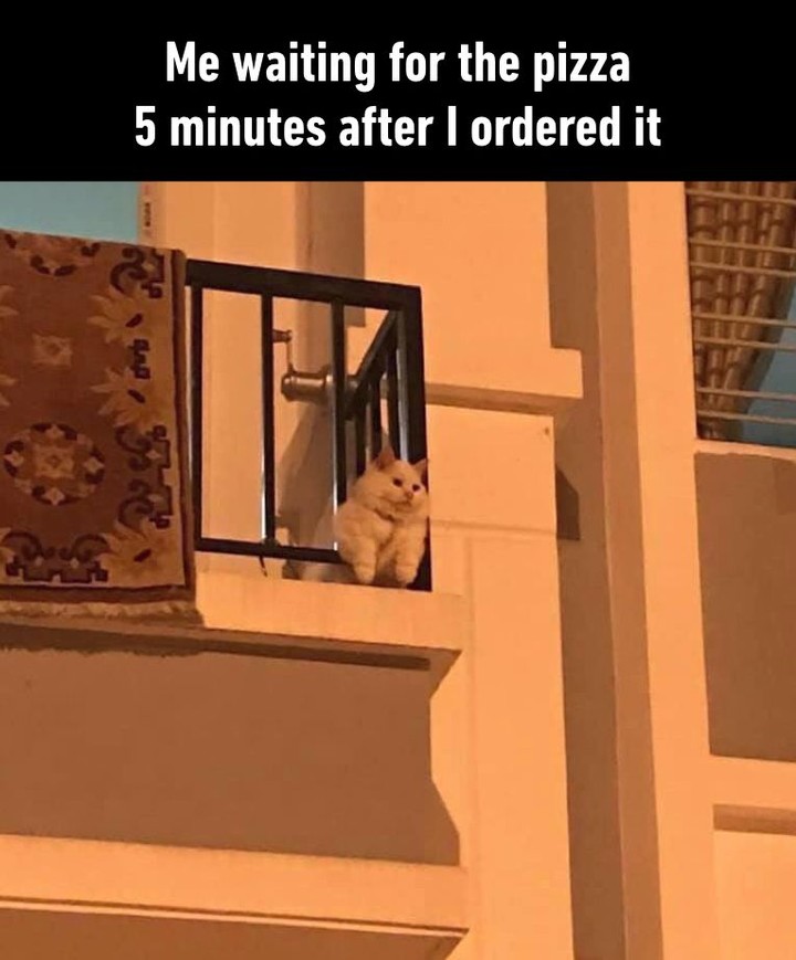 I+can+smell+it+better+from+here%26%238230%3B