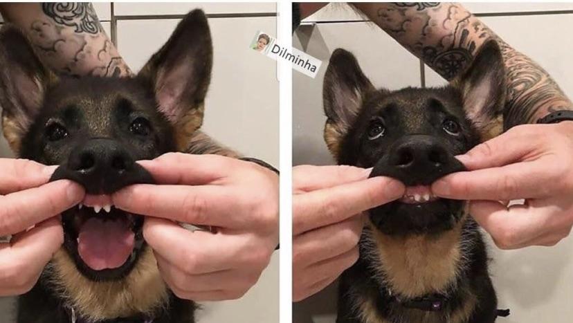 When+baby%26%238217%3Bs+first+teeth+start+coming+in%21