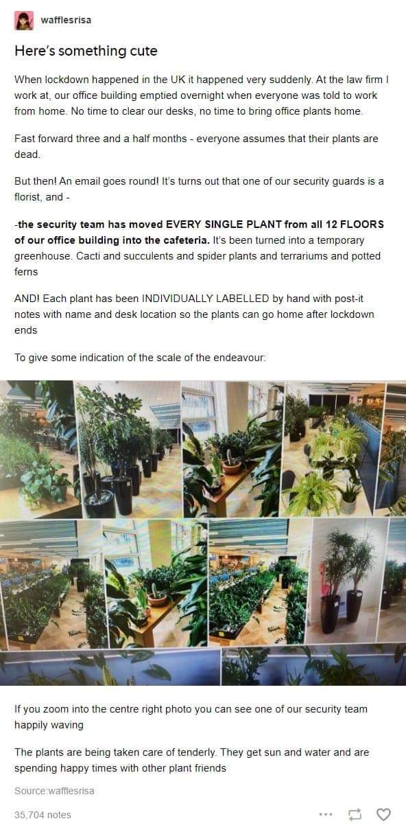 Planting+the+seeds+of+kindness