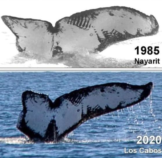 It%26%238217%3Bs+a+match%21