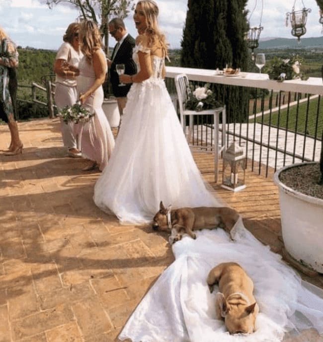 If+anyone+is+opposed%2C+sleep+now+or+forever+hold+your+peace%26%238230%3B