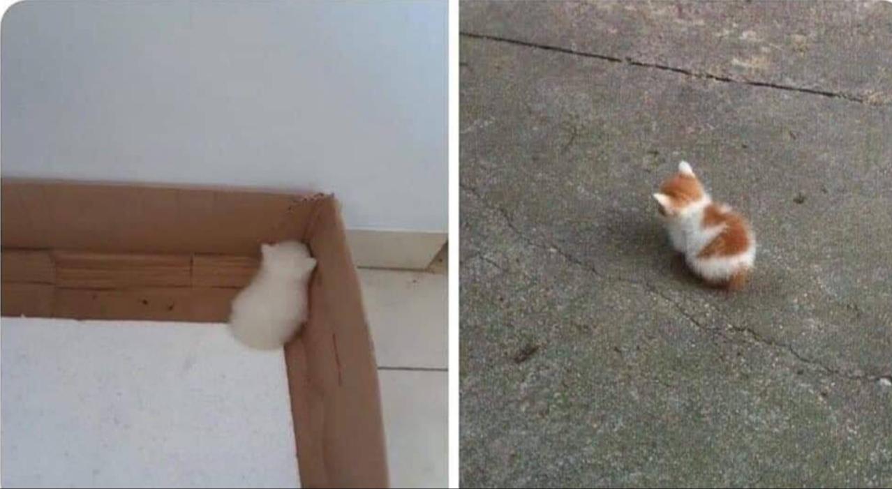 No+Talk+%21+I+am+Angry+%21