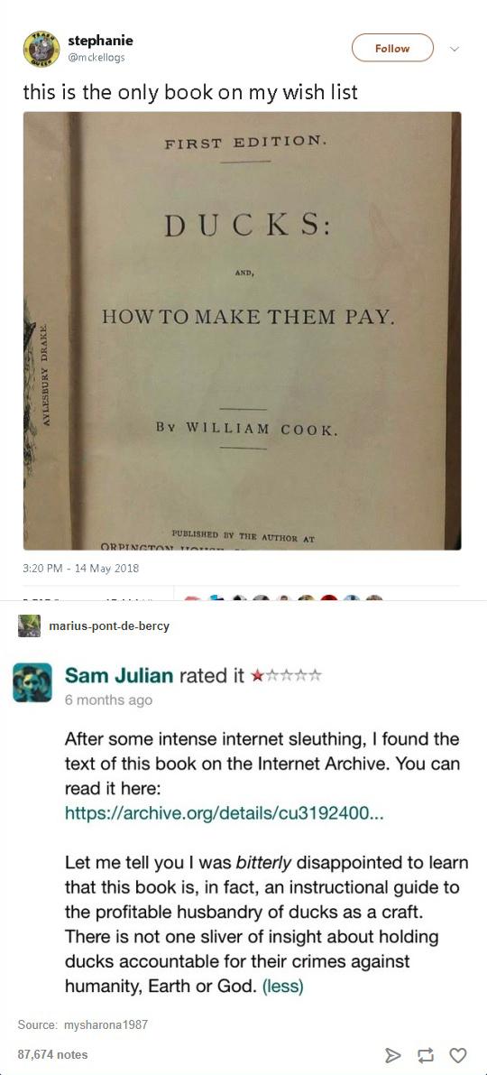 DUCKS%3A+and%2C+HOW+TO+MAKE+THEM+PAY.
