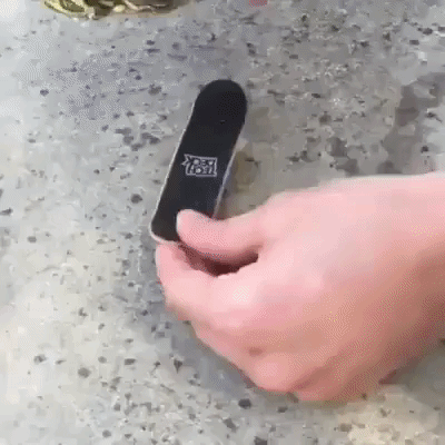 Advanced+tortoise+would+like+a+rematch.